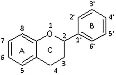 Extraction of Flavonoids From Natural Sources Using Modern Techniques